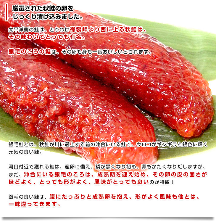 送料無料 秋鮭の塩筋子 約500g 特製木箱入り 塩すじこ いくら｜産直だよりの通販・お取り寄せなら【ぐるすぐり】